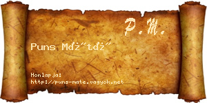 Puns Máté névjegykártya